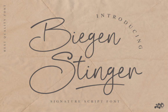 The Flowing Elegance of Biegen Stinger Script