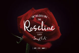 Why Roseline Script Feels Less Like a Font and More Like a Voice