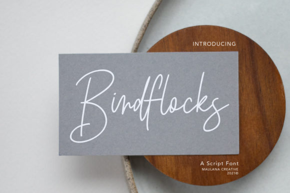 Why the Birdflocks Script Font Captures Modern Elegance